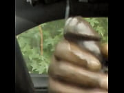 BUST NUT CAR
