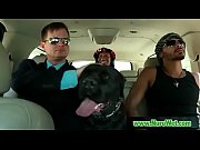 the sheik comebacks summerbrielle amp_ marcobanderas.