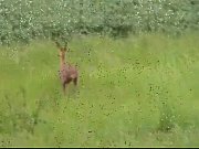 outdoor hook-up  wwwbeeg18com