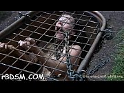 free-for-all s&m vidios