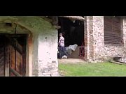 deliacute_cias no siacute_tio