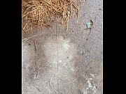 trim1d9567de-ec01-4cfa-872c-63d2c8cac1e3mov