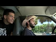 fledgling graciousness 13