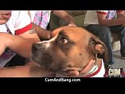 suck for group of milky chisels.