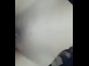 novinha de paudalho pe