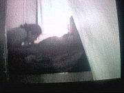 fellating pinkish cigar