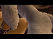 the shelter from the rain  fur covered.