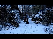 cedille ou la rod des neiges entre chiens.