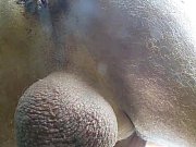 sloppy donk and flies