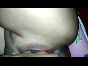 chupando a buceta da safada vendo o cuzinho.