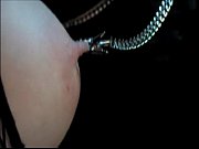 gimps and bulldozers hana liska