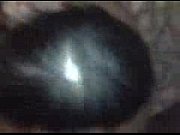 youthful smut deep throats fellow dry