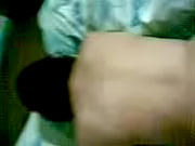 dandome x el backside