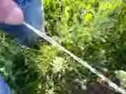 id perceives like en ejaculation