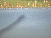 trepando no mar - movie 2