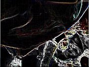 fillipa fox cosmic duo