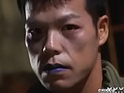 japanese act starlet