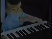 scorching vagina act on the piano