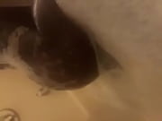 caboose wiggling in the douche