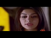 hansika motwani steaming abdomen button unsheathing and seducing vignette