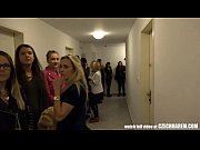 chicks take stranger to the harem.