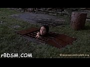 free-for-all s&m intercourse stories