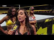 aj lee tribute - revelations