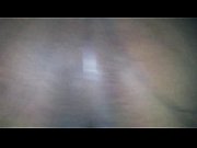 butterfly opening up its wings