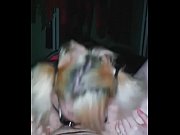 schoolgirl deepthroat