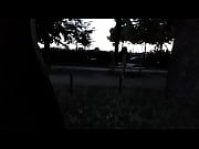 pute de nuit au bois de.