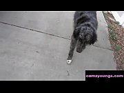 off the hook hookup free-for-all web cam hd.