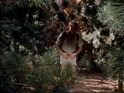 springtime in the rockies 1984 lisa deleeuw debbie.