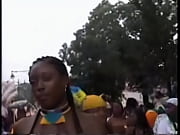 caribbean cougar cameltoe