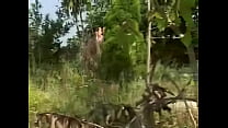 Chinese Asian Sex 1 Thumbnail