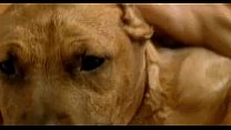 LeClan Three Dancing Slaves (2004) Thumbnail