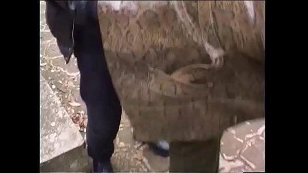 Порву анус видео 88
