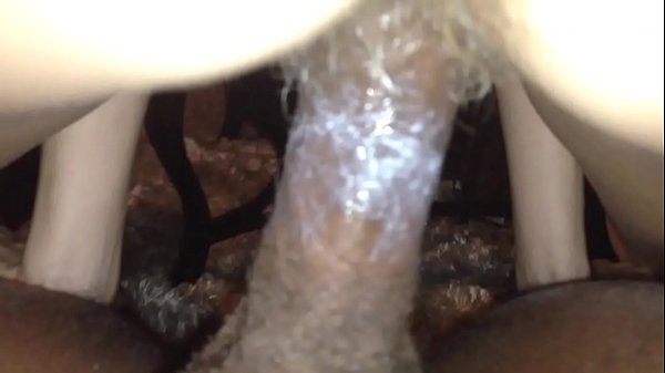BabyDaddy Knows How To Make The Pussy Cum