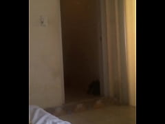 trim.B92E393D-01F7-432E-B06F-57AF779FD9E6.MOV
