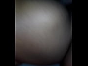 mixed breed doggy from behind