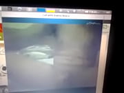 video-2013-06-05-01-36-34 video-2013-06-05-01-36-34 Thumbnail