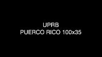 10354025 1431999677059072 175213979 n Thumbnail