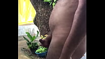Gozada matinal's Thumb