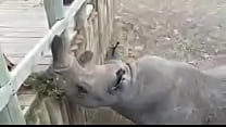 12011960 913650942003355 1210259630 n Thumbnail