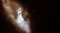 IMG 0022.MOV