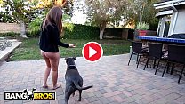BANGBROS - Moe Johnson Buries His Anaconda In P... Thumbnail