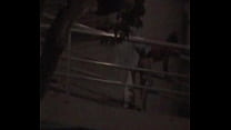 Casal ousado flagrado fazendo sexo em passarela no centro da cidade de São Paulo