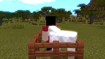 Steve sendo enrrabado por Ovelha ao som de MC GORILA no minecraft