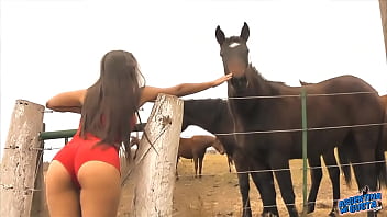 The Sexy Whore Horse Whisperer - Amazing Body Latina! 10 Ass! 55 sec 7