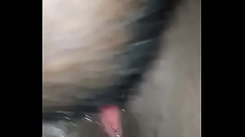 Sucking black pussy