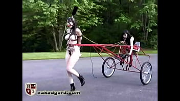 The Red Pony Cart